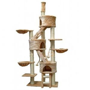 Cat Tree Suggestions for Older, Blind, and Disabled Cat