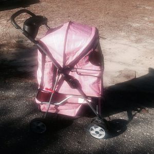 Pet stroller to use as car carrier for 2 cats