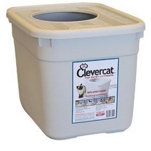 How often do you clean the litter box?