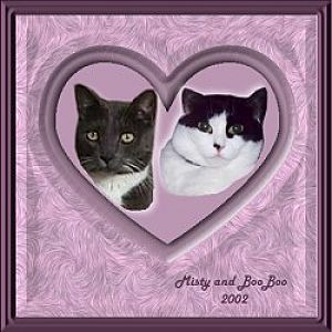 BooBoo and Ms. Pepe are 18 years old today!