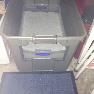 4th and final litter box