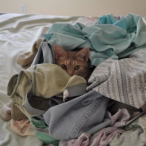 laundry surprise