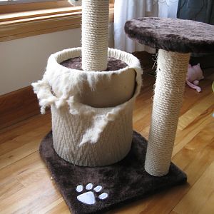 Any way to repair a cat tree?