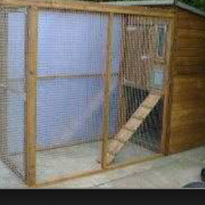 Cat enclosures?