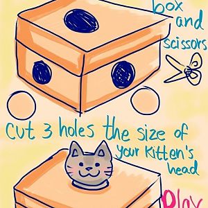 Hand made toys for Cats!