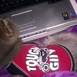 Post Pics Of Your Cat's favorite napping spot