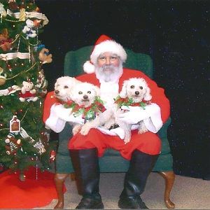 Pet  Pictures with Santa