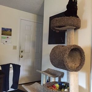 Ali on top of her tower