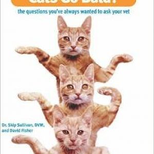 Cat Books wanted:can you recommend any?