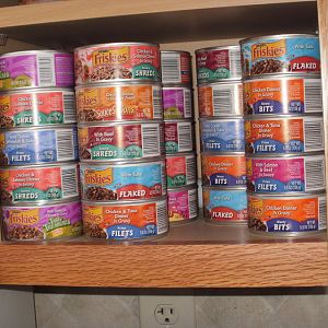 Do you keep your cats food and your own food in the same cabinets or areas...