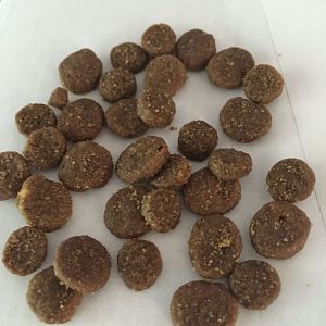 Foods with small kibble size for cat with few teeth?