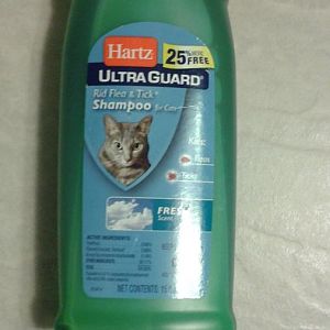 Best way to get rid of fleas on kitten