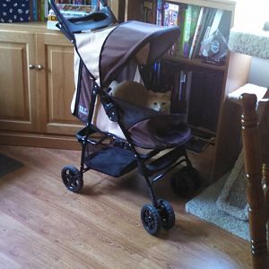 Does anyone have experiences with Pet Gear strollers?