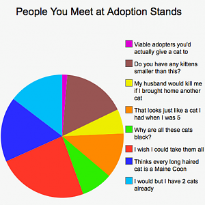 Adoption statistics