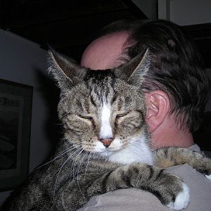 Has your cat remembered you after long times?