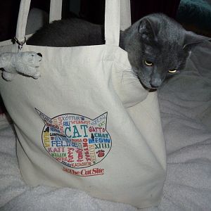 Giveaway: Awesome FREE Cat-themed Bag!