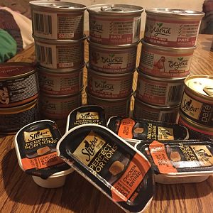 Best canned food for coat shine