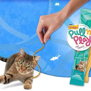 My thoughts on the "pull n' play" by Friskies.