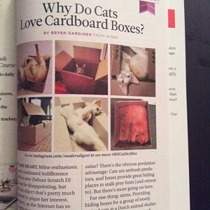 My cat Kyubi is in Reader's Digest!