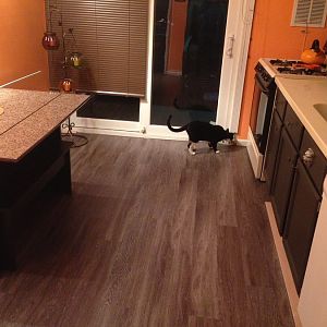 Installed my kitchen floors!