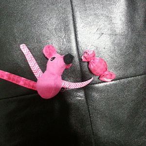 Anyone know where to get this cat toy?