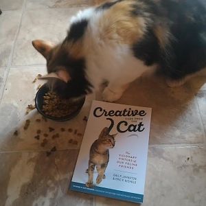 Creative cues from the Cat by Gail P Johnston and Eric P Nichols
