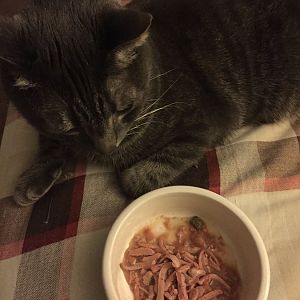 Need help with Rad Cat raw food.