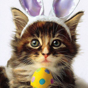 Happy Easter TCS friends!