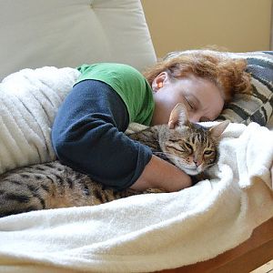 Do you let your cat sleep in your bed with you at night?