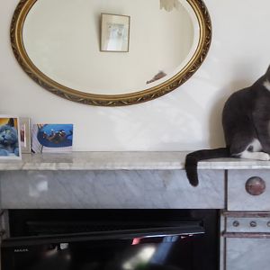 Jumping on the mantelpiece