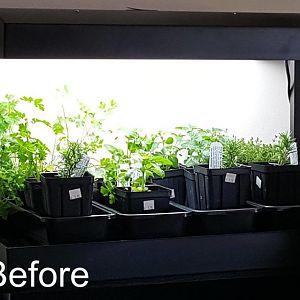 Herb Garden (Update)