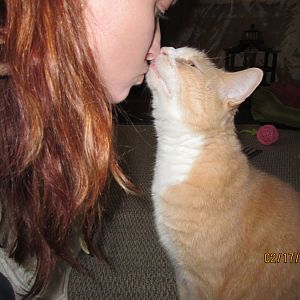 Is it ok to kiss my cat/s on the mouth ??