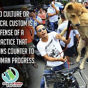 The Yulin Dog Meat Festival