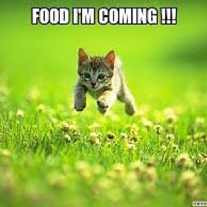 Do you get excited about food?