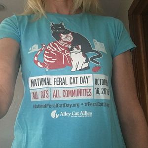 Happy National Feral Cat Day!
