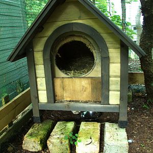 Tip Thread for building outdoor cat shelters.
