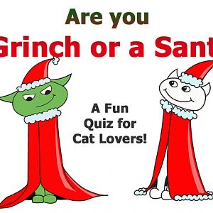 Quiz: Are you a Grinch or a Santa