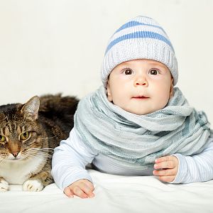 Cats and babies: All your questions answered!