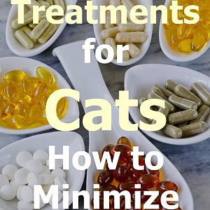 Alternative treatments for cats: How to minimize the risk