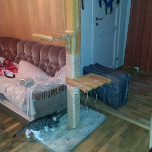 Home made cat trees?