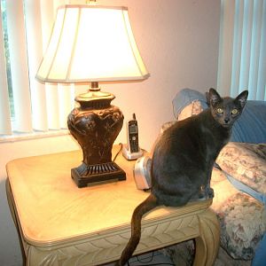 Hurricane Charlie and the new lamp