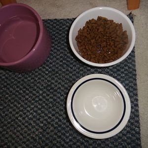 Food Bowl