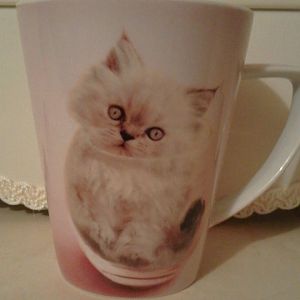 Game - Show your cat mug