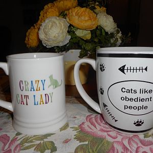 Show your cat mug