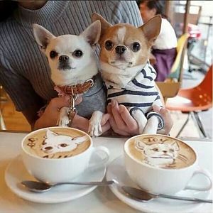 We have coffee together
