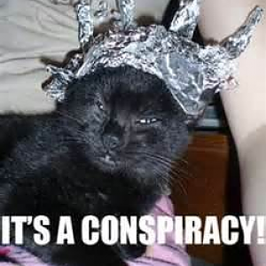 I thought cats did NOT like tin foil...