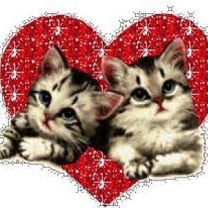 kittens in heart.jpeg