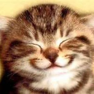 smiley cat.jpg