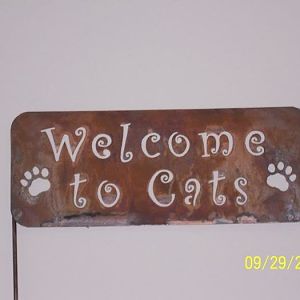 WELCOME20TO20CATS_700x525.jpg