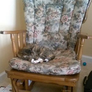 Kiki In Rocking Chair.jpg